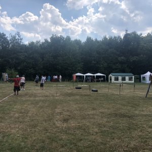 2018 DM Feld